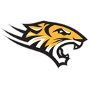 Towson logo