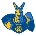 Kansas City logo