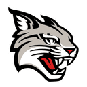 Davidson logo