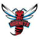 Delaware State logo
